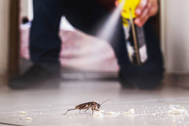 Reliable Sunrise Manor, NV Pest Control Solutions